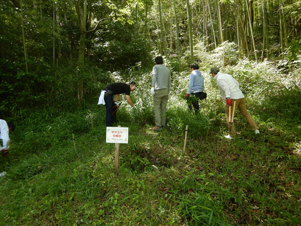 Weeding the grounds