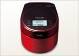 Rice Cooker
