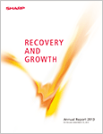 Photo: Annual Report 2013