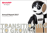 Photo: Annual Report 2017
