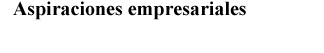 Aspiraciones empresariales