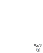EL-387V