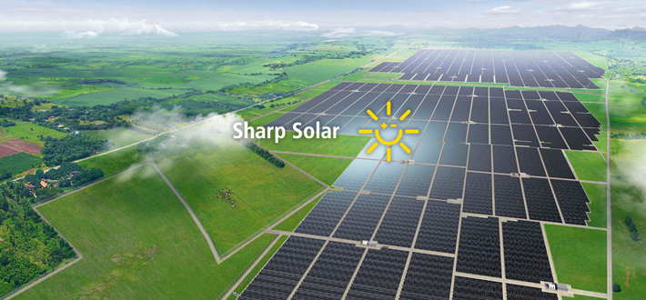 Sharp: Una società leader mondiale nel settore solare