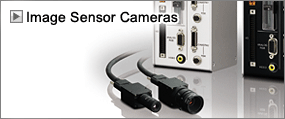 Image Sensor Cameras